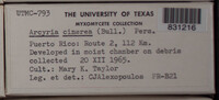 Image Associated With the Occurence